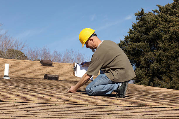 Best Roof Insulation Installation  in Los Chaves, NM